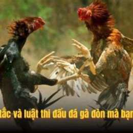 da ga don quang ngai