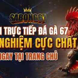 da ga don truc tiep