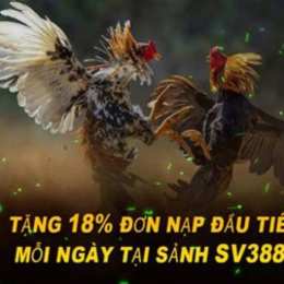 đá gà e2bet e2bet9