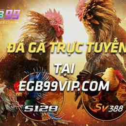 đá gà gk88