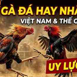 đá gà hay nhất thế giới