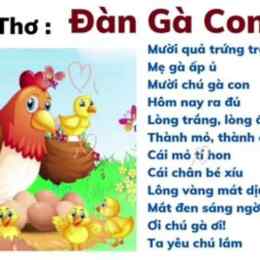 đá gà học bài