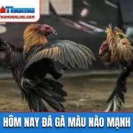 da ga hom may