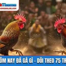 đá gà hôm nay duyên ti