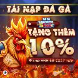 đá gà hubet
