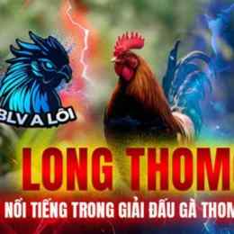 đá gà long thomo