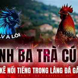 đá gà miền tây 2018