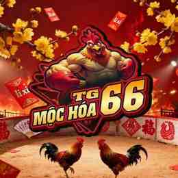 đá gà mộc hóa trực tiếp