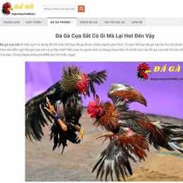 da ga moi nhat hien nay