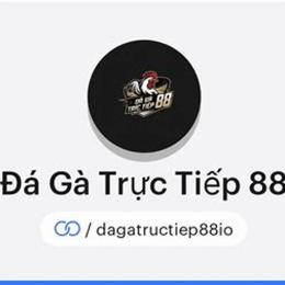 đá gà net 88 trực tiếp