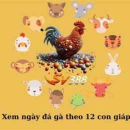 da ga ngay 12 12