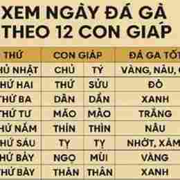 da ga ngay 15/7