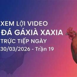 đá gà ngày 30 tháng 5