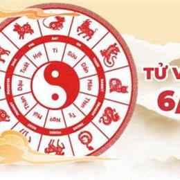 da ga ngay 6 9 2024