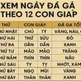 da ga ngay 9/11