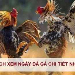 da ga ngay am