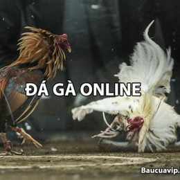 đá gà online có bình luận