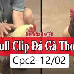 đá gà pc2