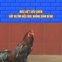 đa ga sabong 67