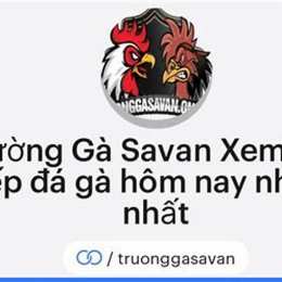 đá gà savan hôm nay