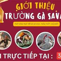 đá gà savan tía đại tướng