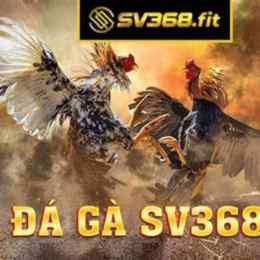 đá gà sv368.info