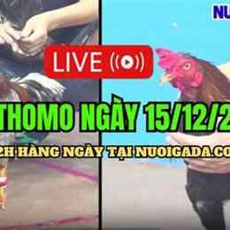da ga thomo 15 2 23