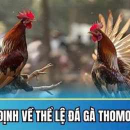 da ga thomo 2 2 2024