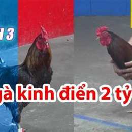 đa ga thomo 26 6