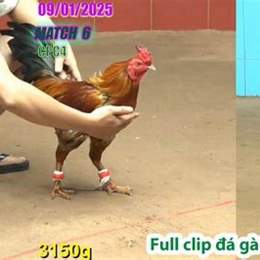 da ga thomo 6 5 2023