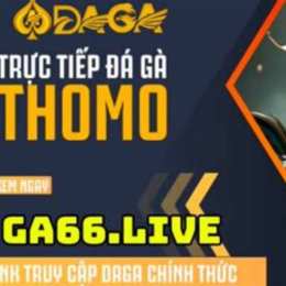 đa ga thomo 8/12/2024