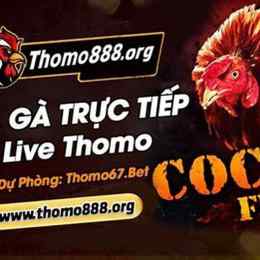 đa ga thomo binh luan