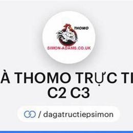 đá gà thomo c1 c2 trực tiếp