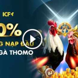 đá gà thomo c2 17/7