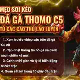 da ga thomo c5 trận 21