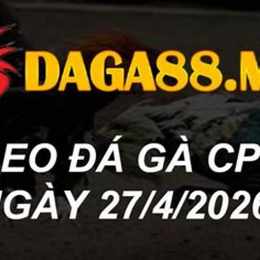da ga thomo ngay 27 5 tran 54