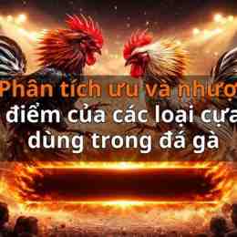 đá gà thứ tư