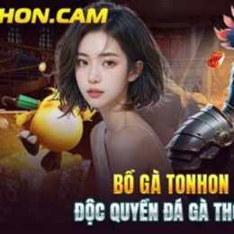 đá gà tonhon 13 8