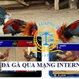 đá gà trên mạng 67