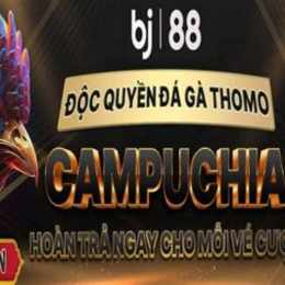 đá gà trực tiếp b88