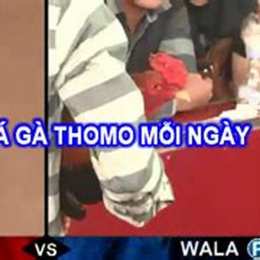 đá gà trực tiếp bình luận viên gà