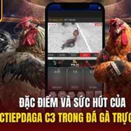 đá gà trực tiếp c3 30 3 trận 23
