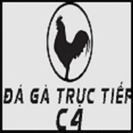 đá gà trực tiếp c4 bình luận viên