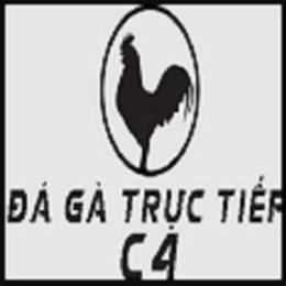 đá gà trực tiếp c4 ngày 12 6