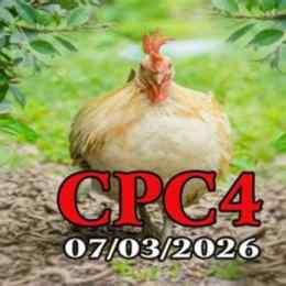 da ga truc tiep cpc 4