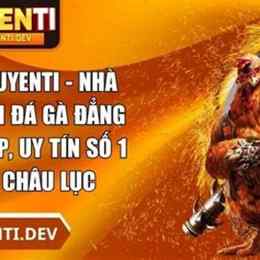 đá gà trực tiếp của duyên ti