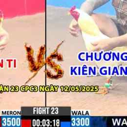đá gà trực tiếp duyên ti c3