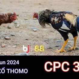 đá gà trực tiếp ngày 26 tháng 5 năm 2023
