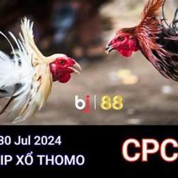 đá gà trực tiếp ngày 30 tháng 04