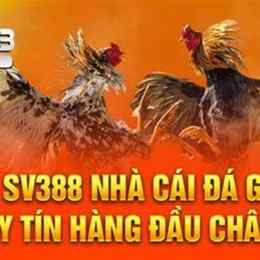 đá gà trực tiếp s388